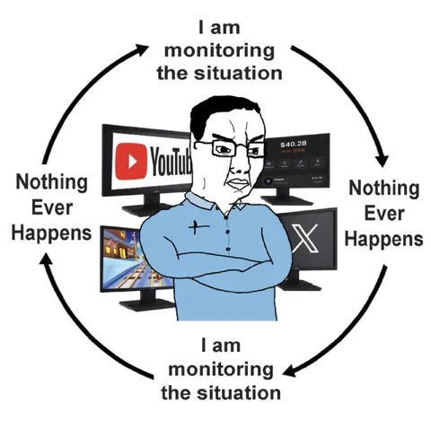 Monitoring the Situation