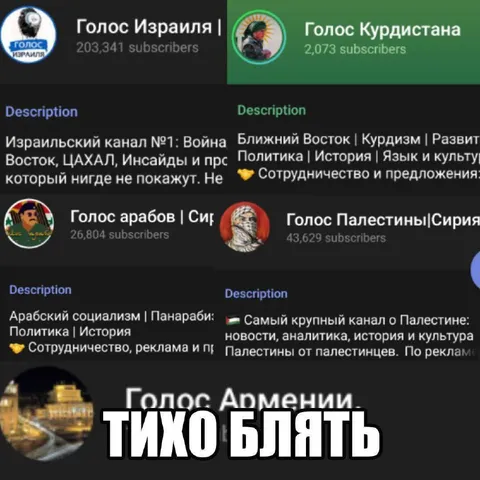 Тихо блять — голос Армении