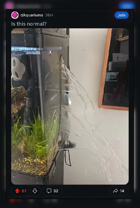Is This Aquarium Normal?