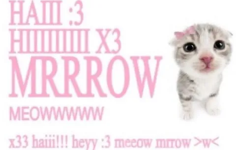 Милый котик мяукает