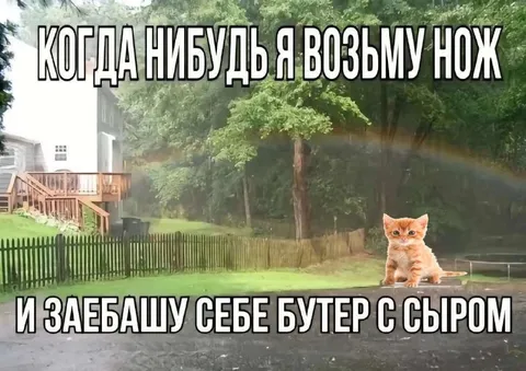 Бутерброд с сыром под дождём