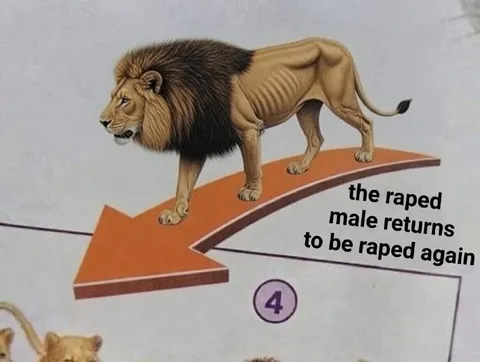 The Raped Male Returns Again