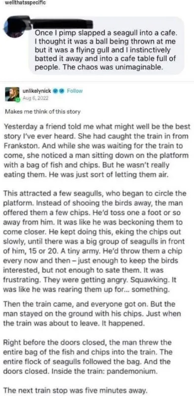 Seagull Chaos on the Train
