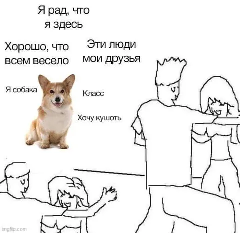 Собака на весёлой вечеринке