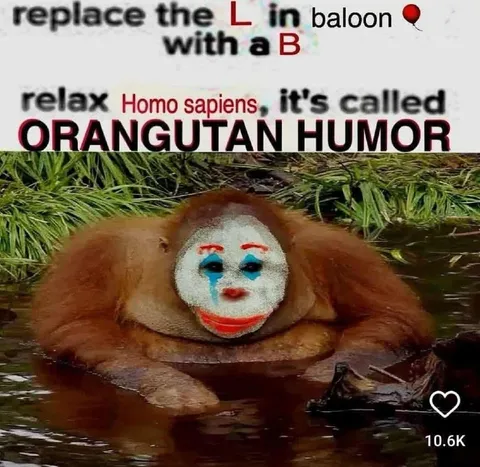 Orangutan Humor Balloon Pun
