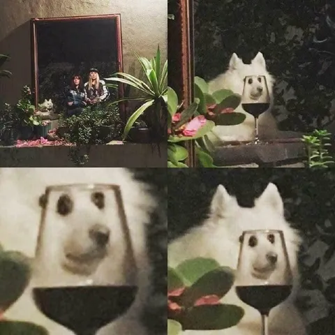 Собака за бокалом