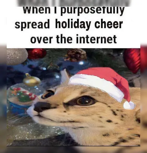 Cat Spreads Holiday Cheer