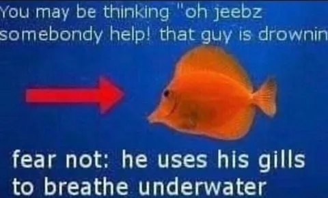 Fear Not, He Has Gills
