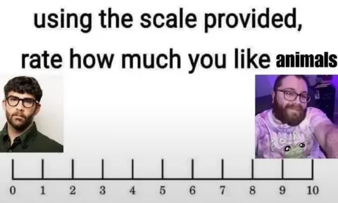 Rate How Much You Like Animals