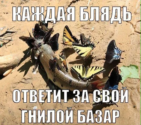 Каждая блядь ответит за свой базар