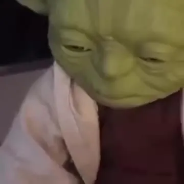 Yoda Answers Yes to Racism