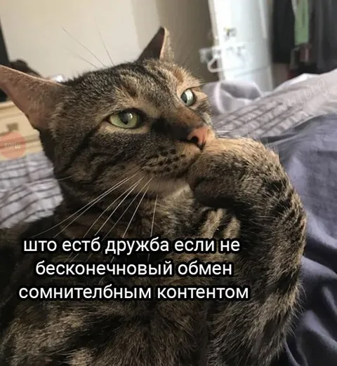 Бесконечновый обмен контентом