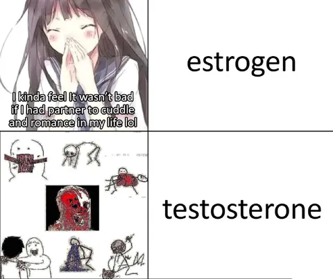 Estrogen vs Testosterone