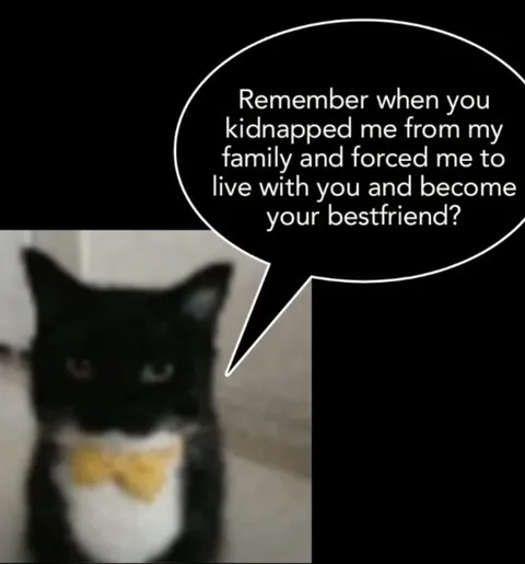 Kidnapped Into Best Friends