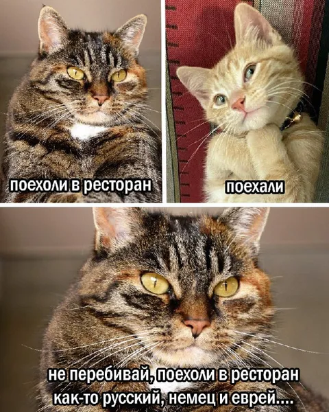 Поехали в ресторан