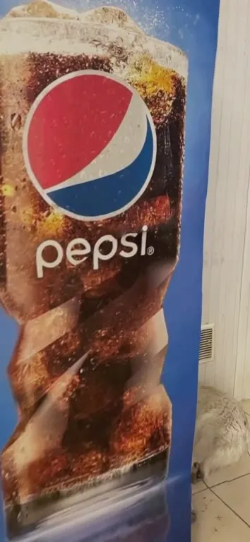 Pepsi Ad Dog Reveal