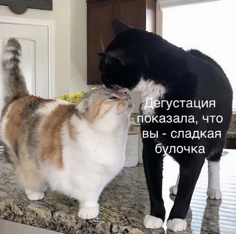 Дегустация показала, что вы сладкая булочка