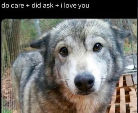 Do Care Did Ask I Love You