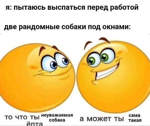 Собаки под окнами не дают выспаться