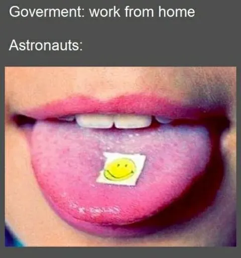 Astronauts Work From Home