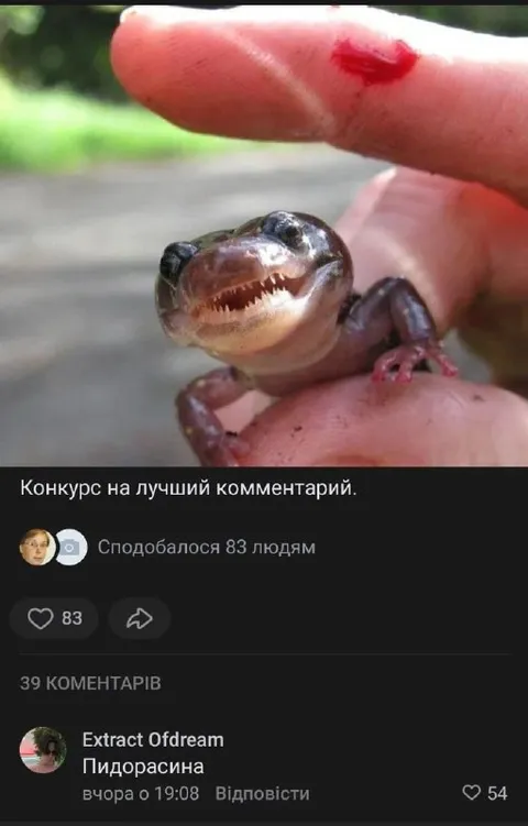 Конкурс на лучший комментарий