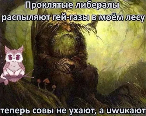 Либералы распыляют гей-газы