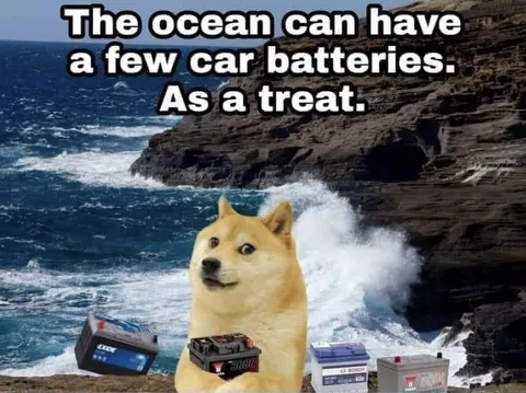 Doge Feeds Batteries to the Ocean