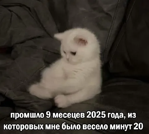 Девять месяцев без веселья