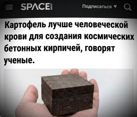 Картофельные кирпичи для космоса