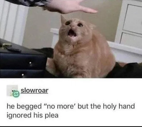 Holy Hand Ignores Cat's Plea