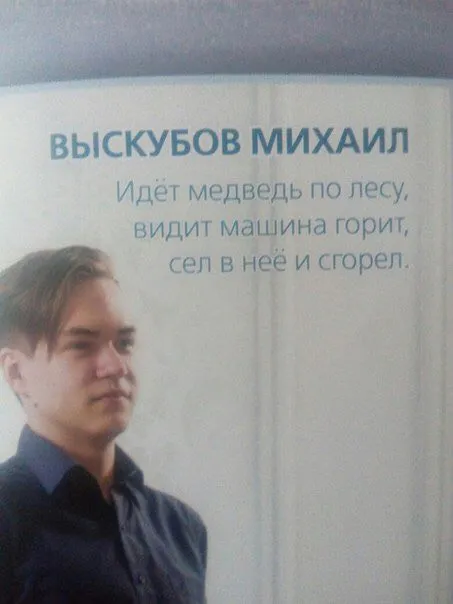 Медведь увидел машину