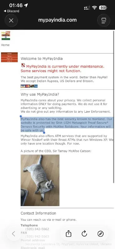 MyPayIndia CEO cat