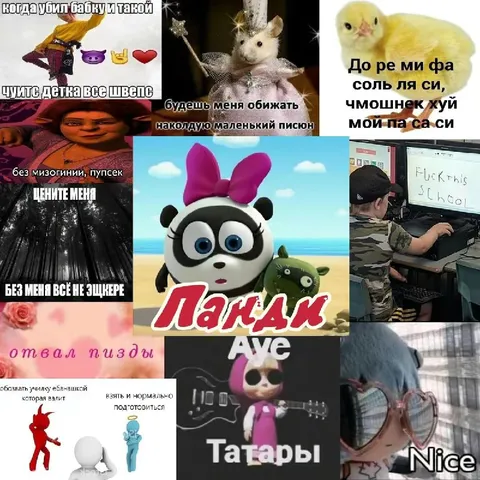 Сборник абсурдных реакций