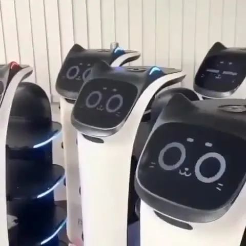 Котоботы сходят с ума