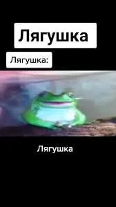 Лягушка смотрит на тебя