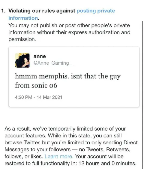 Twitter Suspension for Sonic OC Recognition
