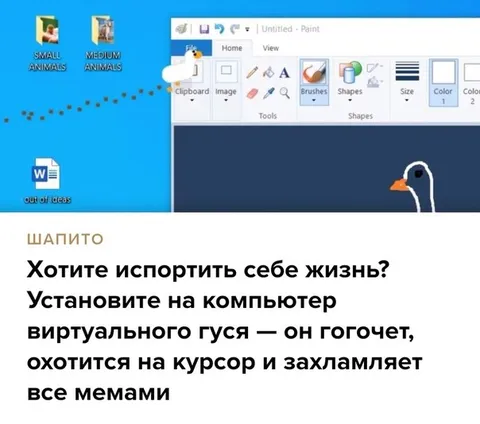 Виртуальный гусь на компьютере