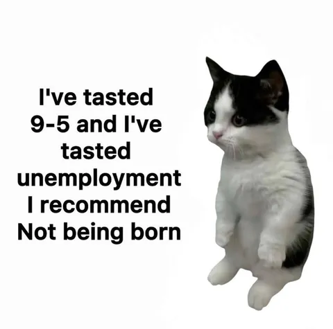 Cat Recommends Not Being Born