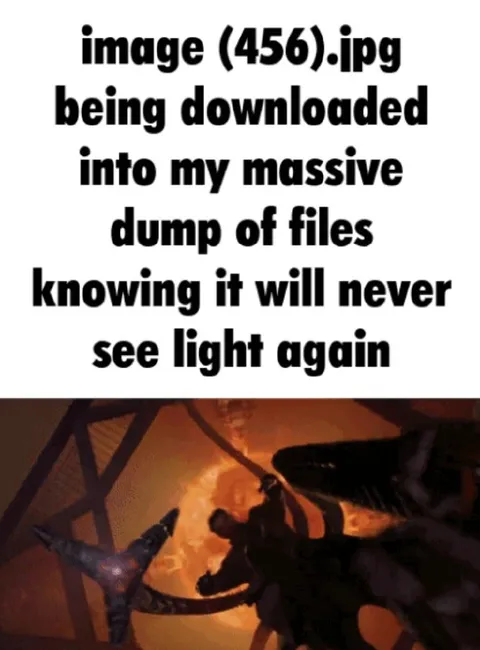 Image Downloaded Into File Dump