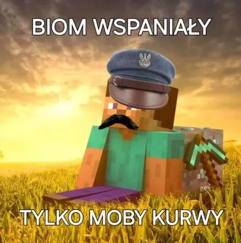 Biom wspaniały, tylko moby kurwy