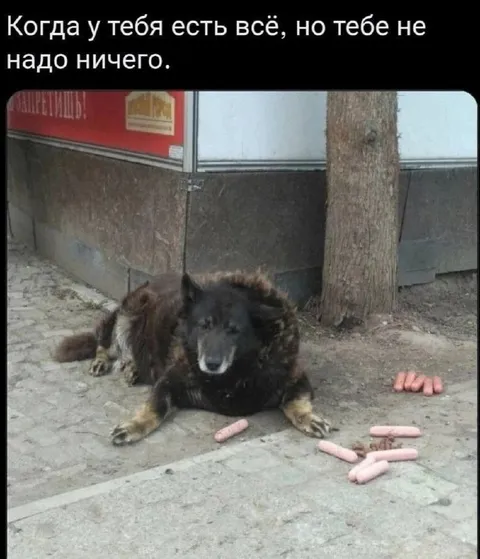 Когда есть всё, но не надо ничего