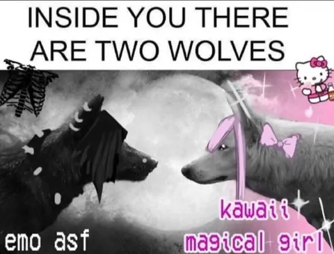 Two Wolves Inside You Meme