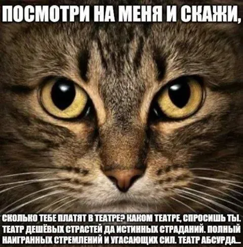 Театр дешёвых страстей