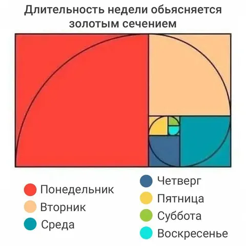 Неделя по золотому сечению
