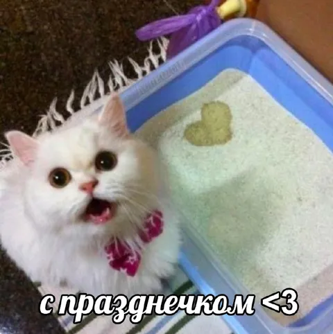 Белый кот поздравляет с праздником