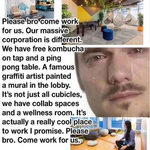Please Bro Come Work For Us