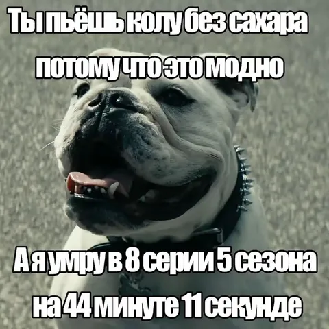Бульдог про колу без сахара