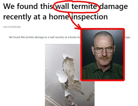 Wall Termite Damage