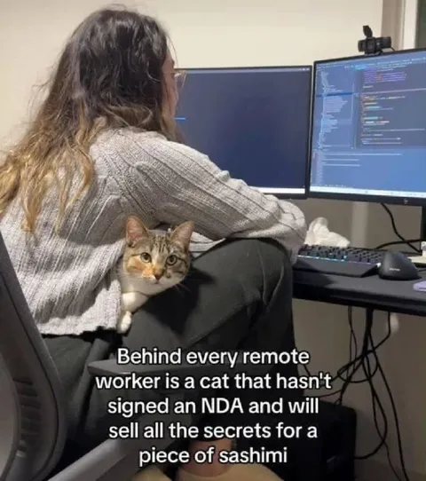 Remote Worker Cat Sells Secrets