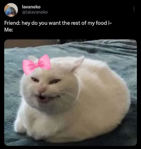 Cat Wants the Rest of My Food